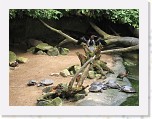 Dierentuin Burgers  Zoo 071 * 3648 x 2736 * (5.01MB)